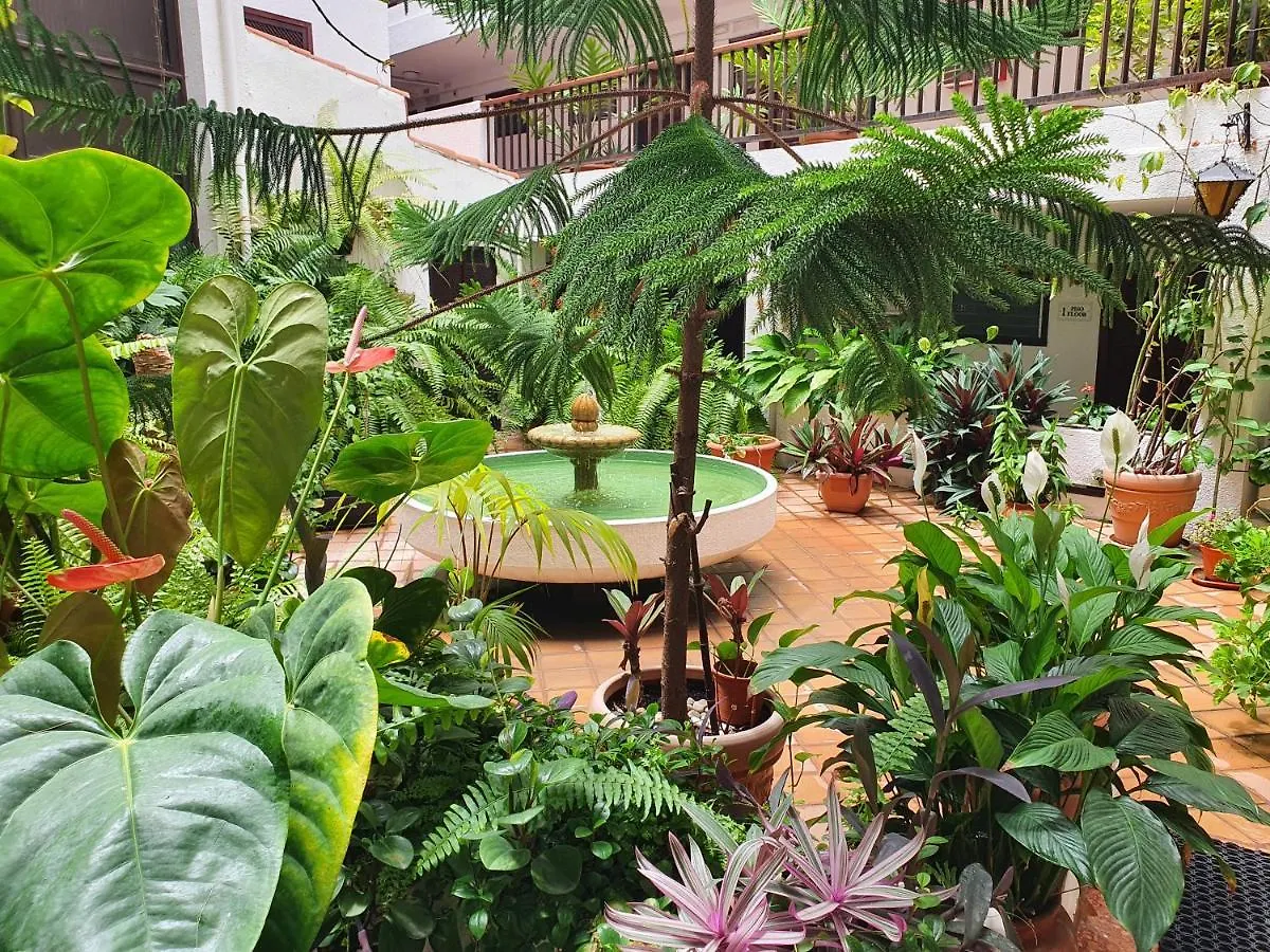 Apartment Marina Beach Puerto de la Cruz  Spain